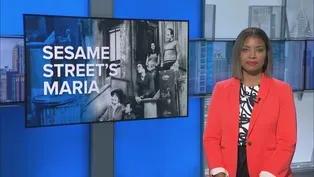 Sonia Manzano on 'Sesame Street,' Early Childhood Education