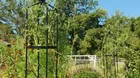 Volunteer Gardener 3415