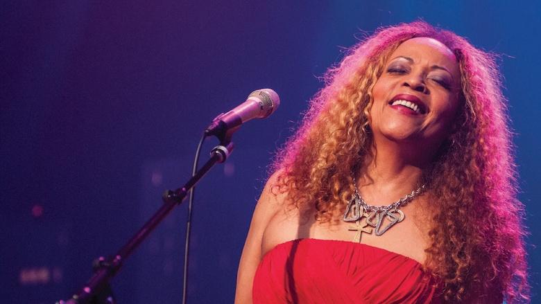 Austin City Limits Image