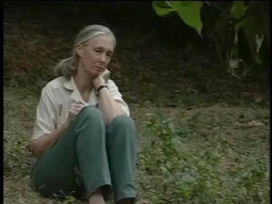 Jane Goodall: Reason For Hope - Jane Goodall: Reason For Hope - Twin Cities  PBS