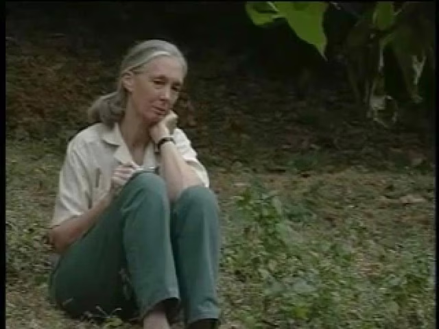Jane Goodall: Reason For Hope