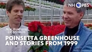 Poinsetta Greenhouse and Stories from 1999