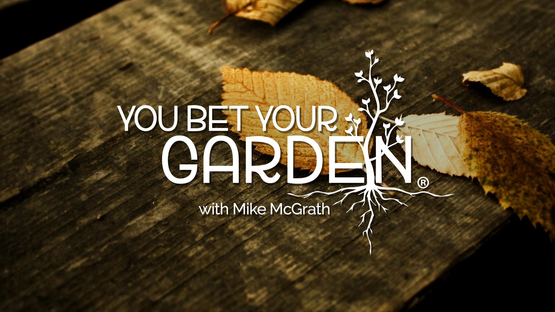 You Bet Your Garden