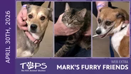 4/30/2026 | Bower, Sam Eagle and Luke | Mark's Furry Friends Extra