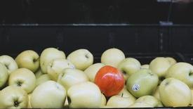 The Apple: asset-mezzanine-16x9