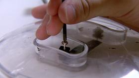 Video thumbnail: UNC-TV Science Using bugs to track like dogs