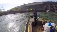 Ohio River Hybrid Bass; Snake Identification; Wolf Creek Dam