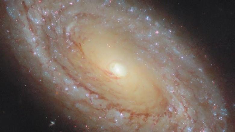 Art & Science Collide Image