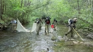 Freshwater Fish