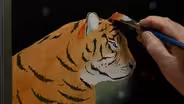 Wilson Bickford "Eye of the Tiger" Part 2
