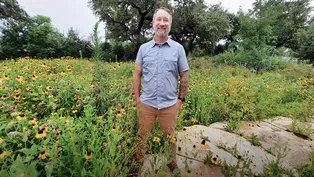 Transition to Urban Native Plant Pocket Prairie