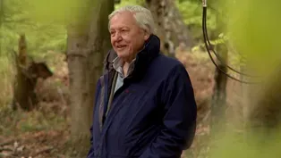 How Sir David Attenborough Got His Start