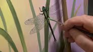 Wilson Bickford "Dragonfly" Part 2