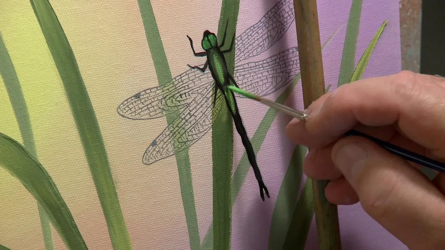 Wilson Bickford "Dragonfly" Part 2