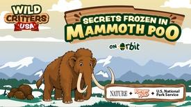Ice Age Secrets Frozen in Mammoth Poo | Wild Critters USA: asset-mezzanine-16x9