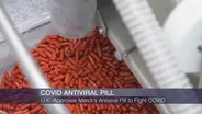 Pfizer Says COVID-19 Pill Cut Hospital, Death Risks