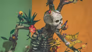 La Cartonería Mexicana