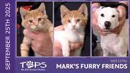 9/25/2025 | Tickety, Tock and Weiser | Mark's Furry Friends Extra