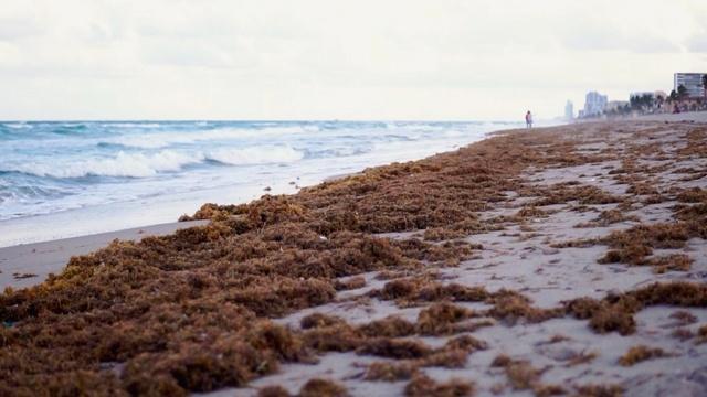 Changing Seas | Toxic Waters - Trailer