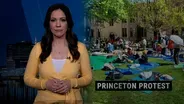 Pro-Palestinian protesters dig in at Princeton