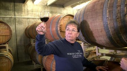 Video thumbnail: Flavor NC From the Vineyard" Special 3