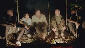 Jungle Nightlife: asset-mezzanine-16x9