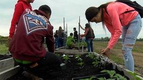 Video thumbnail: Inside California Education School Farms – Planting a Skill for the Future