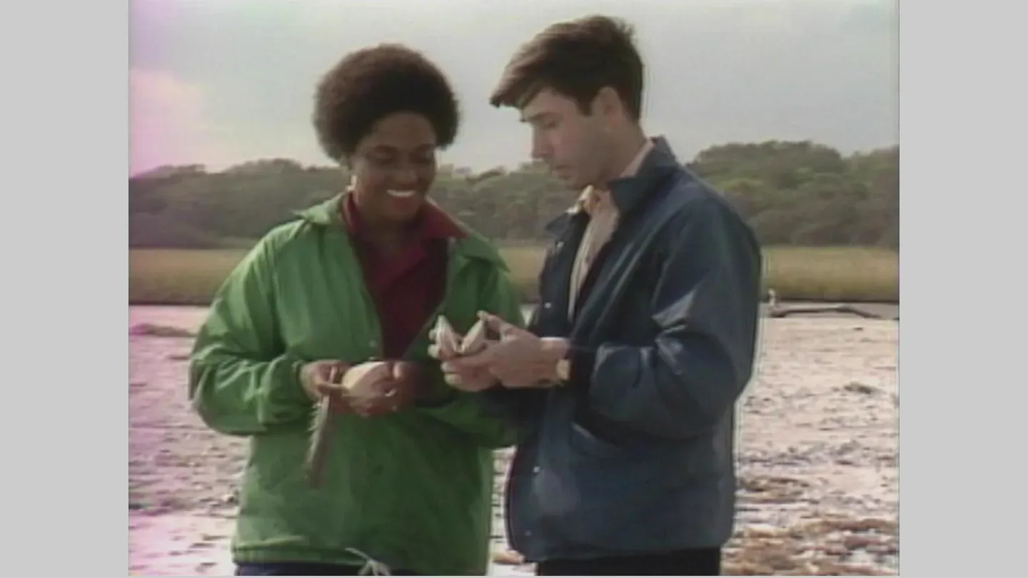 Winter Beach (1979)