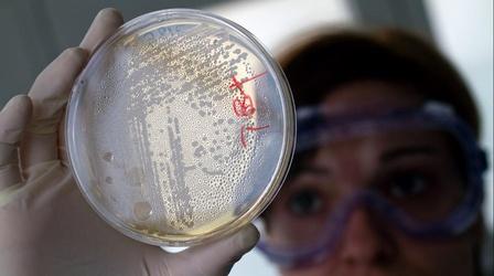 Video thumbnail: PBS NewsHour The many scientists whose work is stalled due to shutdown
