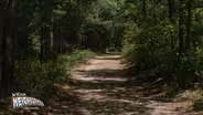 Visiting state parks: From the Pinelands to the Isle of Hope