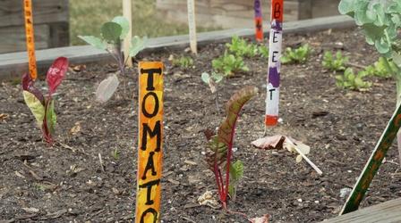Video thumbnail: ncIMPACT Partnerships Around Food Access Take Root in Union County