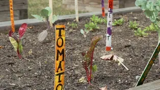 Partnerships Around Food Access Take Root in Union County
