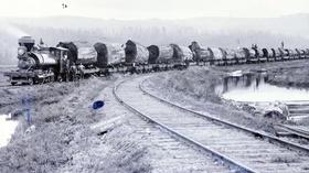 Video thumbnail: Lost LA Red Gold: The Demise of California's Redwood Forest