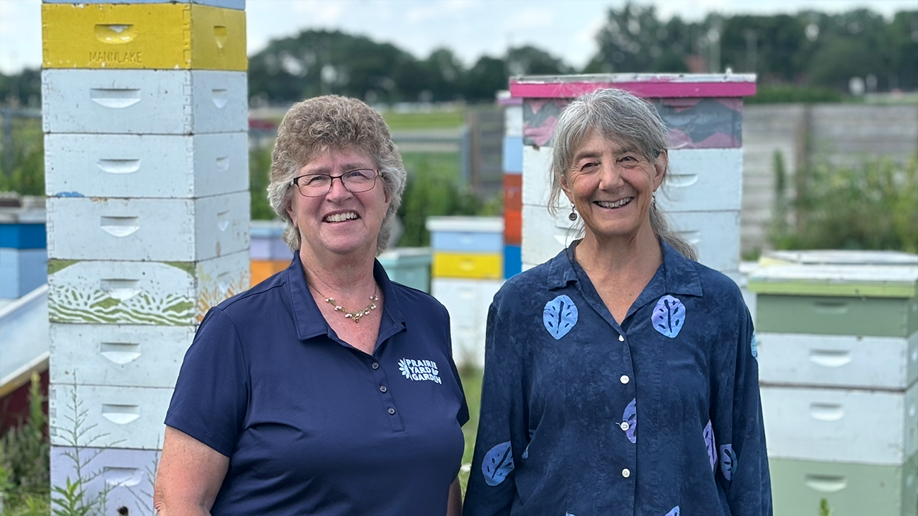 Marla Spivak is renowned as one of the most knowledgeable bee researchers in the United States.
