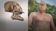 Were These Monsters Inspired by Fossils?  (ASL)