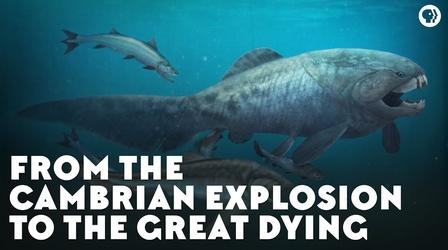 Video thumbnail: Eons From the Cambrian Explosion to the Great Dying