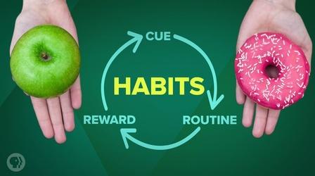Video thumbnail: Be Smart How Habits are Formed