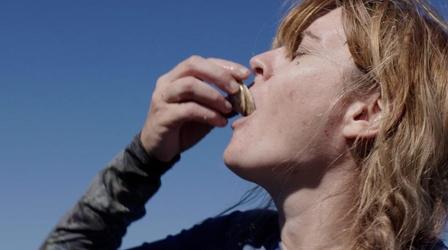 Video thumbnail: WSRE Specials The Humble Oyster
