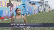 At El Paseo Community Garden, ‘The Sky’s The Limit’