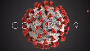 The Coronavirus Pandemic