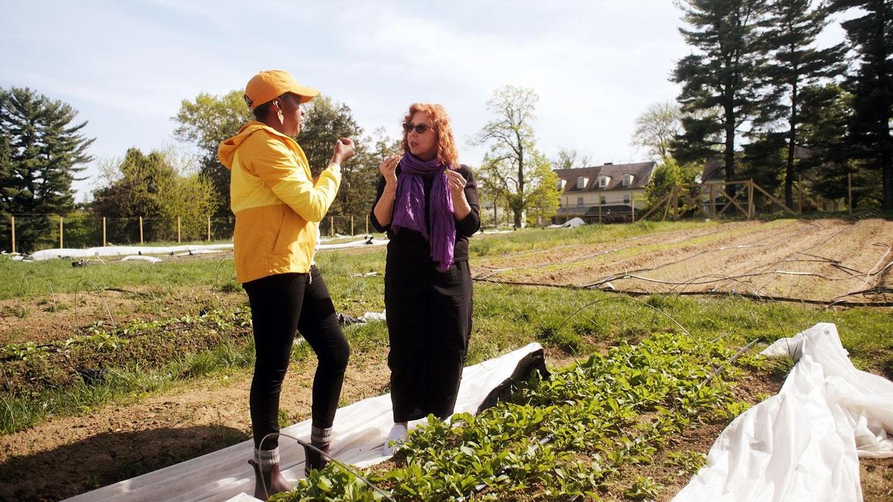 Christina Cooks: Back to the Cutting Board Eating Locally airing Tue, May 19 10:30 am
