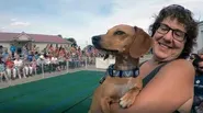 Life with Animals