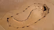 This Massive Skeleton Belongs to an Ancient Whale