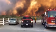 Preventing wildfire destruction