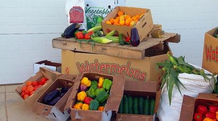 Video thumbnail: Maryland Farm & Harvest Episode 909