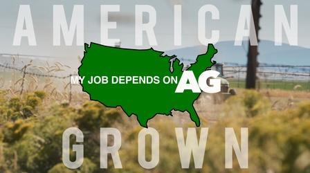 Video thumbnail: American Grown: My Job Depends on Ag Klamath Water Wars Trailer