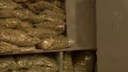 Cannabis compromise bill expected to be voted on this week