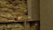 Cannabis compromise bill expected to be voted on this week