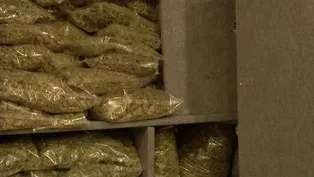Cannabis compromise bill expected to be voted on this week