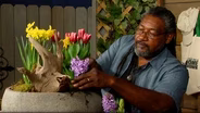 Spring Container Planter